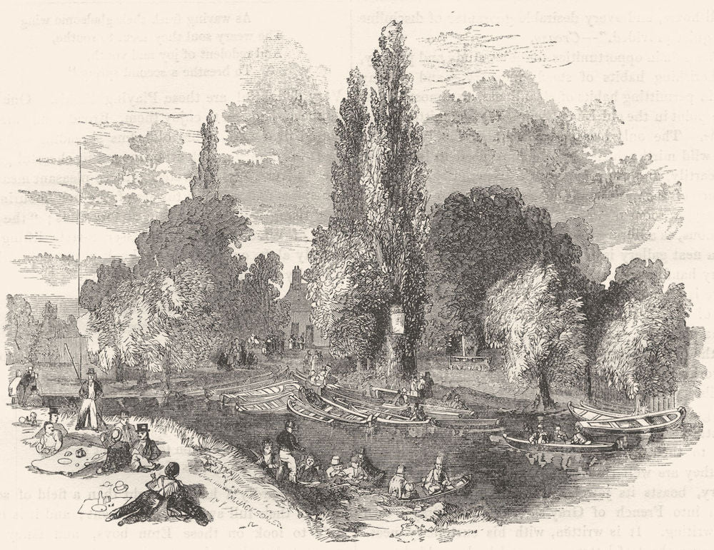 BERKSHIRE. Surly Hall 1850 old antique vintage print picture